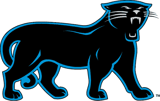 Carolina Panthers 1995-2011 Alternate Logo iron on transfers for fabric